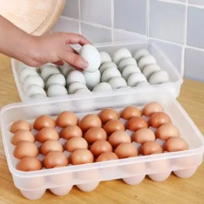 Plastic Egg Tray 34 Hole